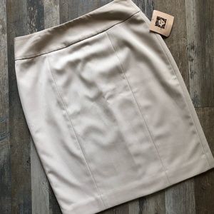 NWT knee length, lined skirt.